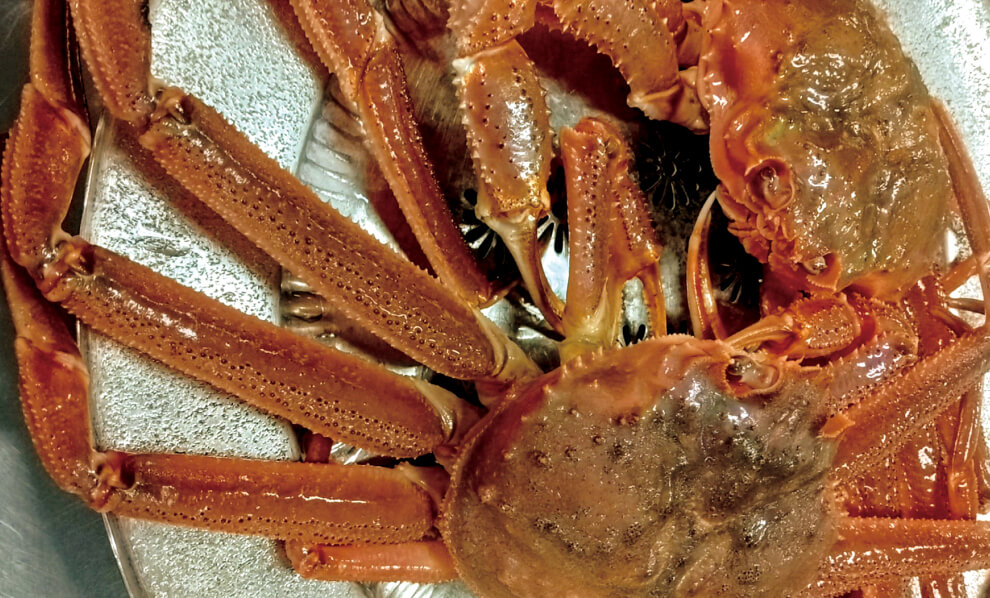 北海道直送螃蟹套餐 (附飲料)